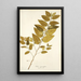 Sida carpinifolia - Nikolaus Joseph Freiherr von Jacquin — framed artwork on a wall