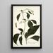 Solanum lanceaefolium - Nikolaus Joseph Freiherr von Jacquin — framed artwork on a wall