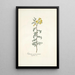 Solanum peruvianum - Nikolaus Joseph Freiherr von Jacquin — framed artwork on a wall