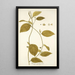 Tragia involucrata - Nikolaus Joseph Freiherr von Jacquin — framed artwork on a wall