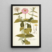 Zinnia elegans - Nikolaus Joseph Freiherr von Jacquin — framed artwork on a wall