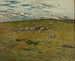 Sheep Grazing - Nils Kreuger — artwork view