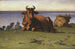 Cows at Rest, Earth Motif - Nils Kreuger — artwork view
