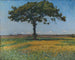 Young Oak - Nils Kreuger — artwork view