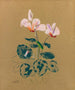 Cyclamen - Odilon Redon — artwork view