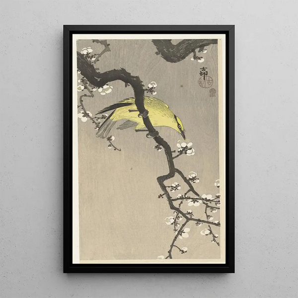 Chinese Gold Loriot Painting on Plum Blossom Branch - Ohara Koson — framed artwork on a wall