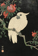 Cacatoès et grenade - Ohara Koson — framed artwork on a wall