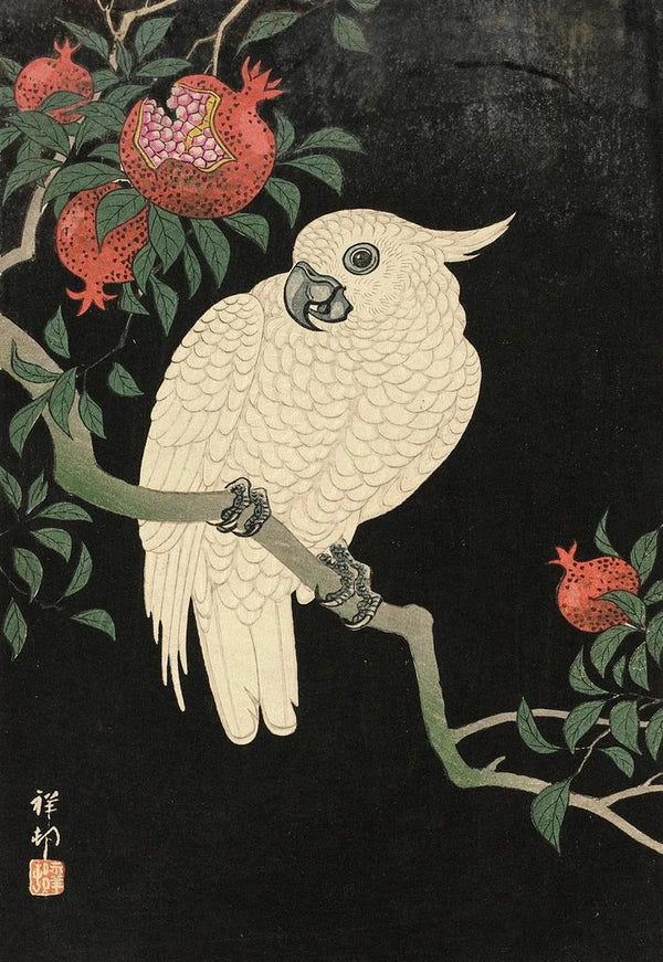 Cacatoès et grenade - Ohara Koson — framed artwork on a wall