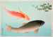 Carp commun and golden - Ohara Koson — artwork view