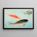 Carp commun and golden - Ohara Koson — framed artwork on a wall