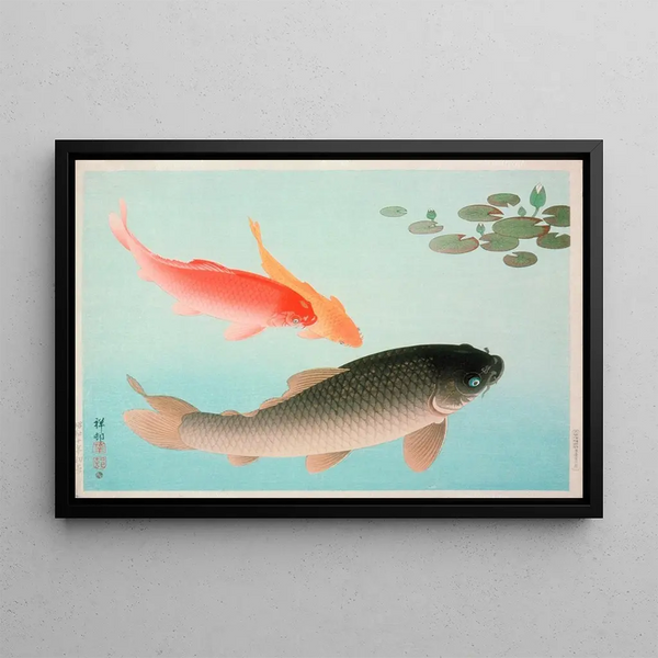 Carp commun and golden - Ohara Koson — framed artwork on a wall