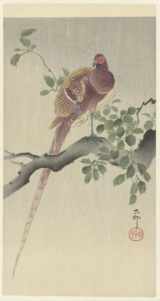 Ohara Koson - Copper pheasant.webp