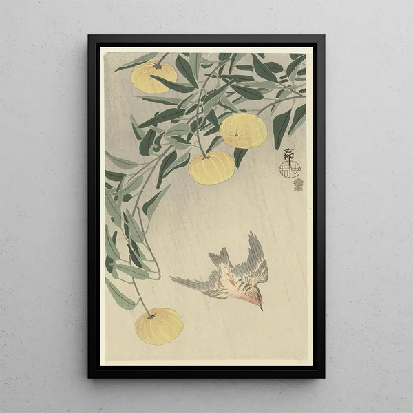 Coucou sous la pluie - Ohara Koson — framed artwork on a wall