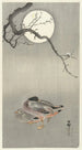 Canards à la pleine lune - Ohara Koson — artwork view