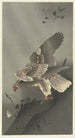 Eagle on the lookout for prey - Ohara Koson — artwork view