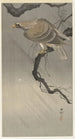 Eagle on Branch - Ohara Koson — artwork view