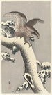 Eagle on Snow-Covered Pine - Ohara Koson — artwork view