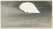 Aigrette - Ohara Koson — artwork view