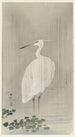Aigrette sous la pluie - Ohara Koson — artwork view