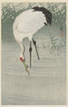 Crane fishing in shallow water - Ohara Koson — artwork view