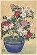 Azalea in Bloom in a Blue Pot - Ohara Koson — artwork view