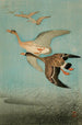 Geese in Flight - Ohara Koson — artwork view