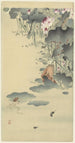 Frog and Tadpoles - Ohara Koson — artwork view