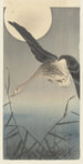 Goose - Ohara Koson — artwork view