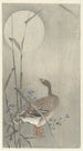 Goose under the full moon - Ohara Koson — artwork view