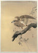 Falcon - Ohara Koson — artwork view