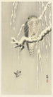 Falcon with captive sparrow - Ohara Koson — artwork view