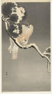 Falcon with Sparrow - Ohara Koson — artwork view