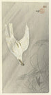 Hunting Falcon Painting - Ohara Koson — artwork view