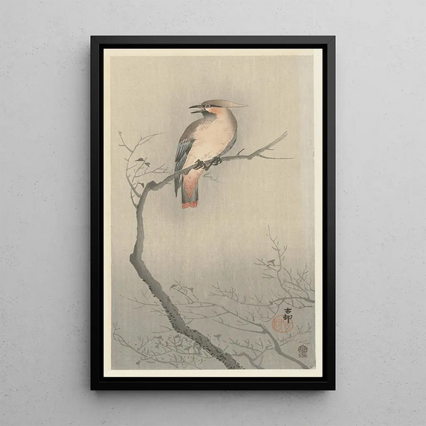 Japanese Jay on Branch - Ohara Koson — framed artwork on a wall