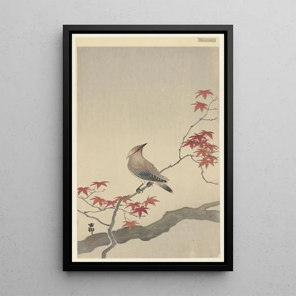 Jaseur du Japon sur érable - Ohara Koson — framed artwork on a wall