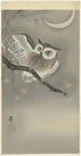 Owl medium-owl in a ginkgo - Ohara Koson — artwork view