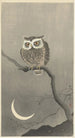 Owl on a bare tree branch - Ohara Koson — artwork view