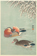 Mandarin Ducks - Ohara Koson — artwork view