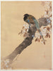 Pheasant on a cherry blossom branch - Ohara Koson — artwork view