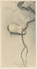 Duck on whimsical branch - Ohara Koson — artwork view