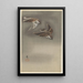 Sparrows with Collars in the Snow - Ohara Koson — framed artwork on a wall