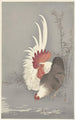 Rooster and hen - Ohara Koson — artwork view