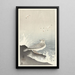 Seagull on a Rock - Ohara Koson — framed artwork on a wall