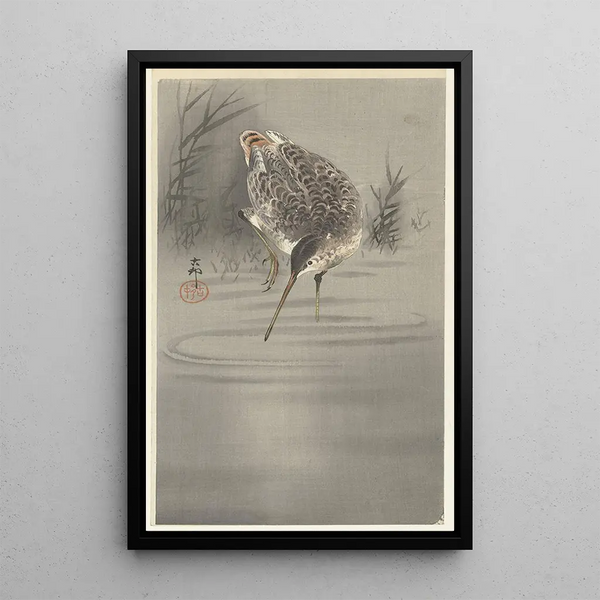 Bécassine dans l'eau - Ohara Koson — framed artwork on a wall