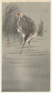 Bécassine dans l'eau - Ohara Koson — artwork view