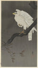 Snowy eagle on a tree branch - Ohara Koson — artwork view