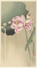 Birdsong and Lotus - Ohara Koson — artwork view