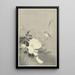 Swallow with Peony - Ohara Koson — framed artwork on a wall