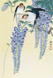 Hirondelles et glycine - Ohara Koson — artwork view