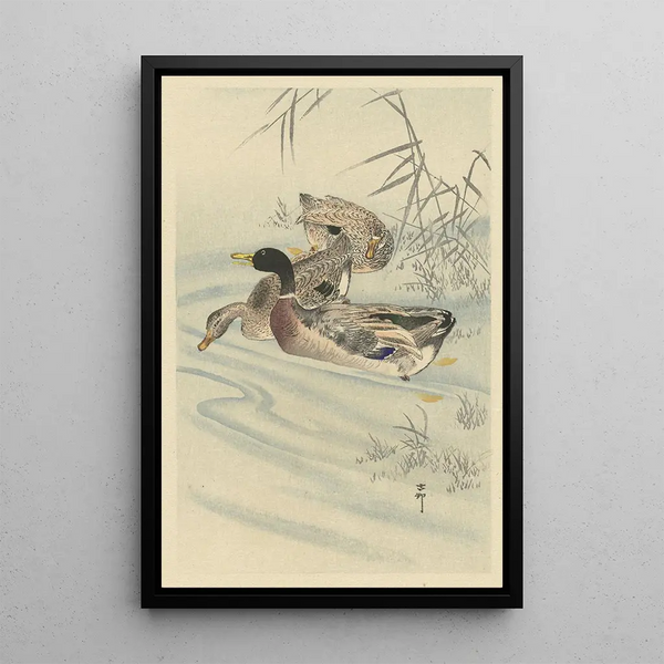 Three ducks in shallow water with reed - Ohara Koson — framed artwork on a wall